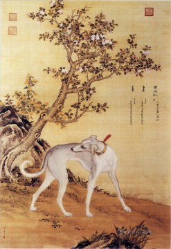  Castiglione Arte - Cangshuiqiu un galgo chino del álbum Diez perros premiados Lang brillante Giuseppe Castiglione tinta china antigua